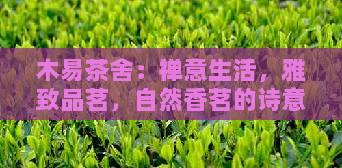 木易茶舍：禅意生活，雅致品茗，自然香茗的诗意栖居地