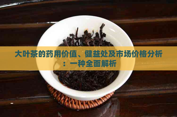 大叶茶的药用价值、健益处及市场价格分析：一种全面解析