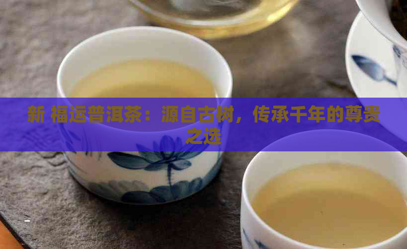 新 福运普洱茶：源自古树，传承千年的尊贵之选