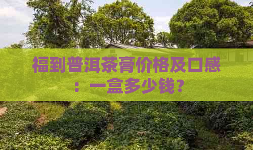 福到普洱茶膏价格及口感：一盒多少钱？