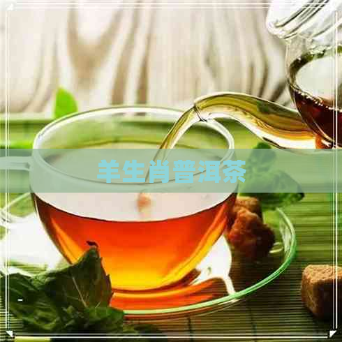 羊生肖普洱茶