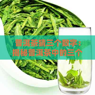 普洱茶猜三个数字：揭秘普洱茶中的三个重要数字