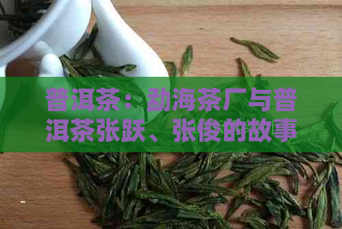 普洱茶：勐海茶厂与普洱茶张跃、张俊的故事