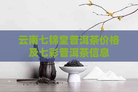 云南七锦堂普洱茶价格及七彩普洱茶信息