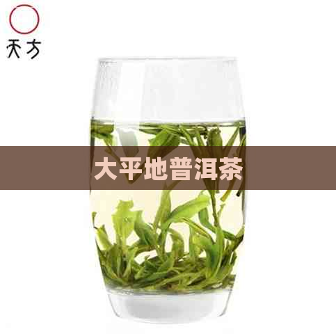 大平地普洱茶