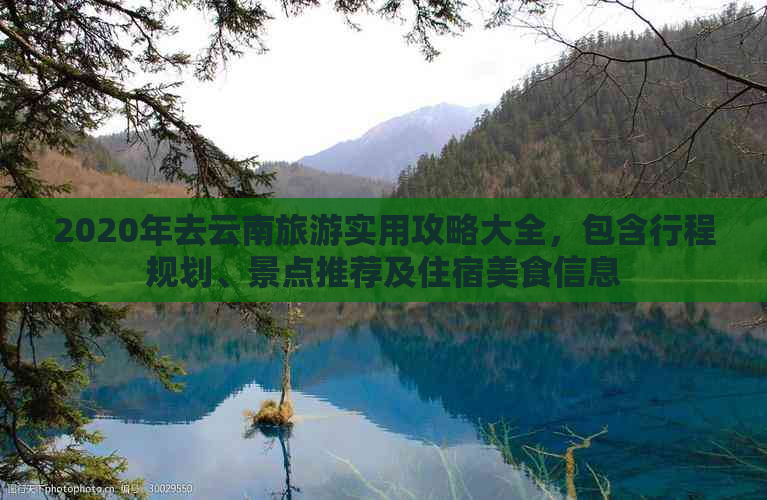 2020年去云南旅游实用攻略大全，包含行程规划、景点推荐及住宿美食信息