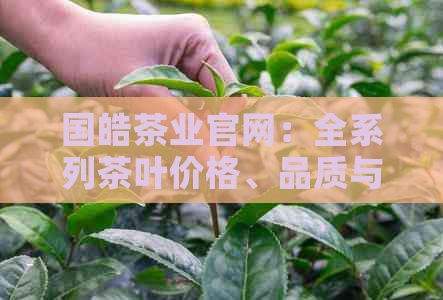 国皓茶业官网：全系列茶叶价格、品质与泡法详解，助您挑选最适合的茶叶