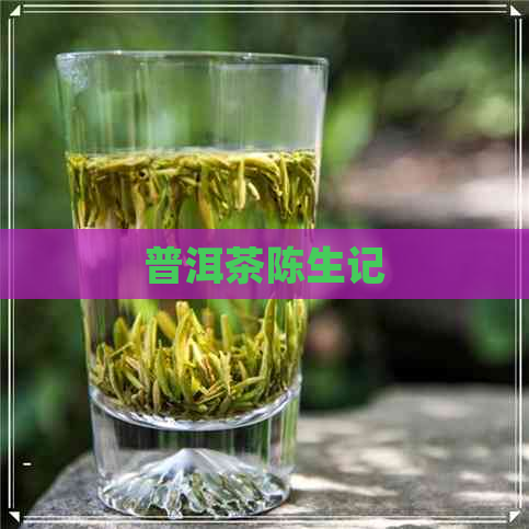 普洱茶陈生记