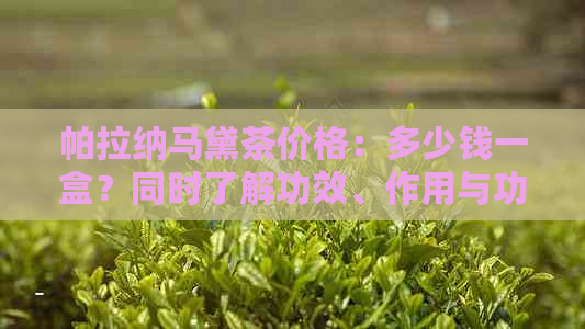 帕拉纳马黛茶价格：多少钱一盒？同时了解功效、作用与功能主治。