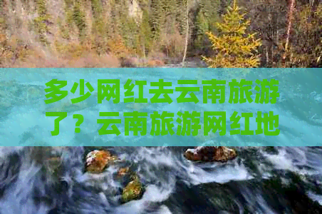 多少网红去云南旅游了？云南旅游网红地方是哪里？