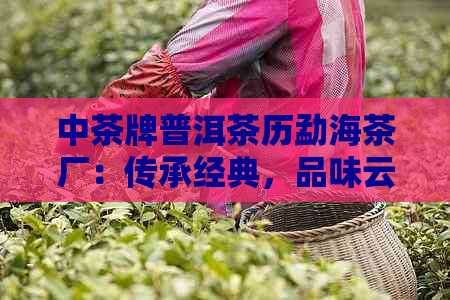 中茶牌普洱茶历勐海茶厂：传承经典，品味云南魅力