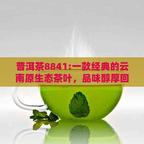 普洱茶8841:一款经典的云南原生态茶叶，品味醇厚回与健生活