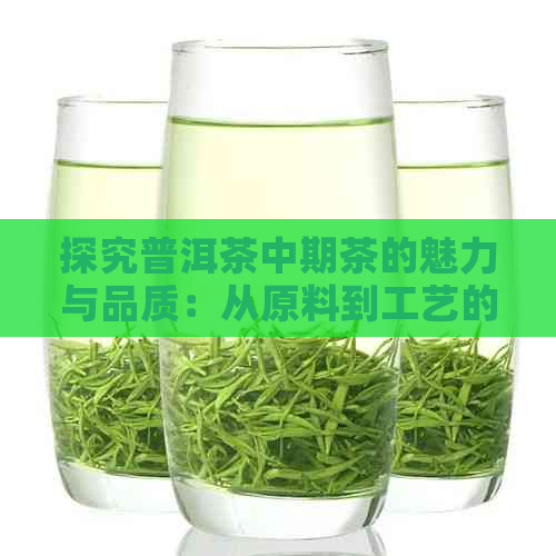 探究普洱茶中期茶的魅力与品质：从原料到工艺的全面解析