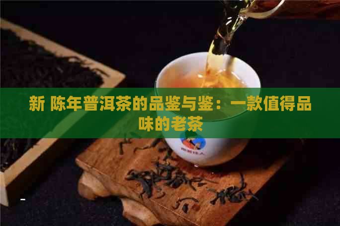 新 陈年普洱茶的品鉴与鉴：一款值得品味的老茶