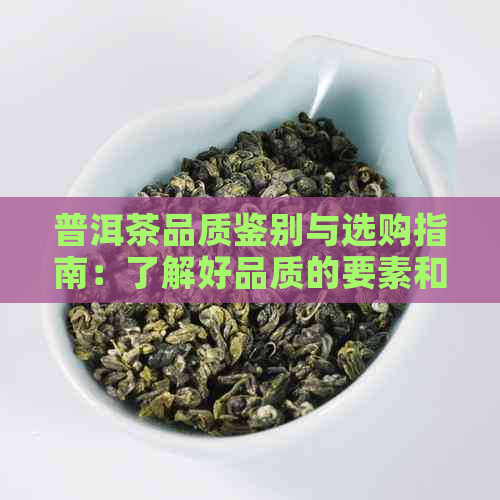 普洱茶品质鉴别与选购指南：了解好品质的要素和购买建议