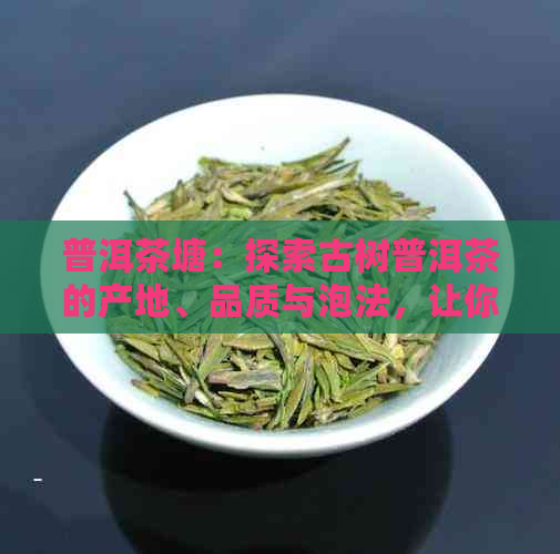 普洱茶塘：探索古树普洱茶的产地、品质与泡法，让你品尝到真正的普洱韵味