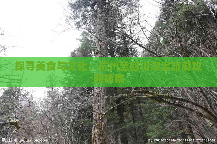 探寻美食与文化：杭州至四川深度旅游攻略指南