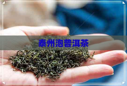 泰州泡普洱茶