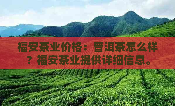 福安茶业价格：普洱茶怎么样？福安茶业提供详细信息。