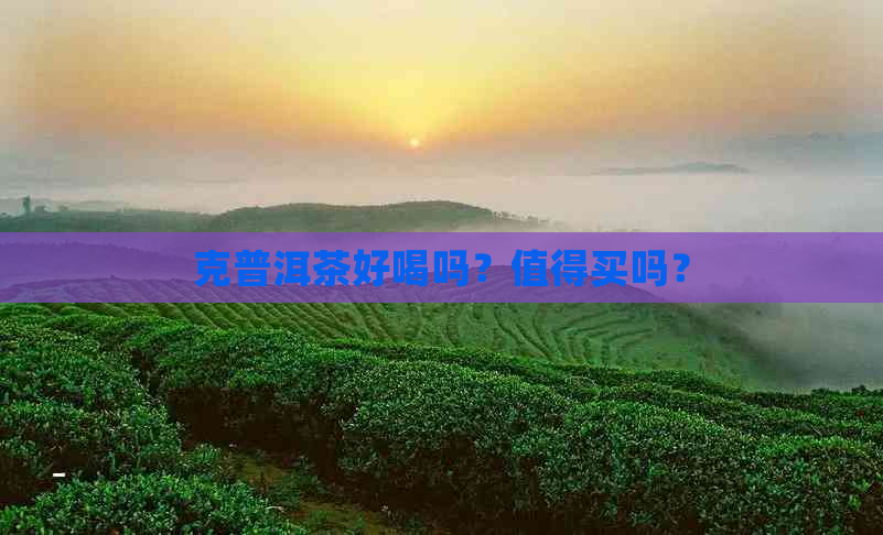 克普洱茶好喝吗？值得买吗？