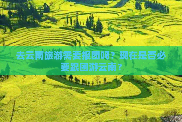 去云南旅游需要报团吗？现在是否必要跟团游云南？