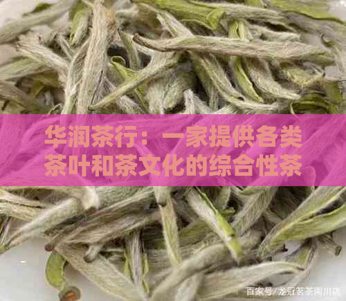 华润茶行：一家提供各类茶叶和茶文化的综合性茶业及其相关信息