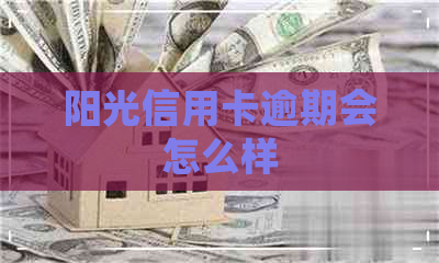 阳光信用卡逾期会怎么样