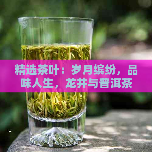 精选茶叶：岁月缤纷，品味人生，龙井与普洱茶价格对比