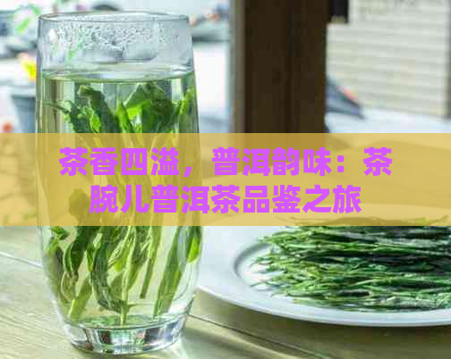 茶香四溢，普洱韵味：茶腕儿普洱茶品鉴之旅