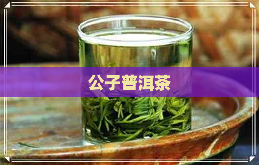 公子普洱茶