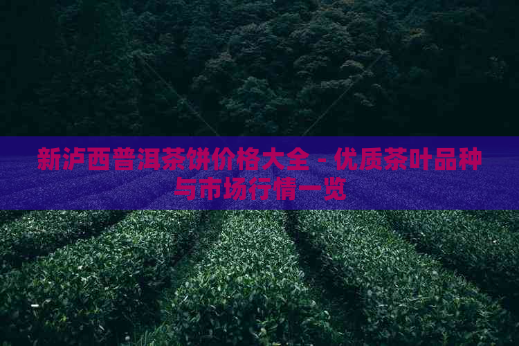 新泸西普洱茶饼价格大全 - 优质茶叶品种与市场行情一览