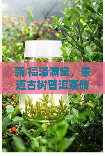 新 福泽满堂，景迈古树普洱茶砖的独特韵味与品质