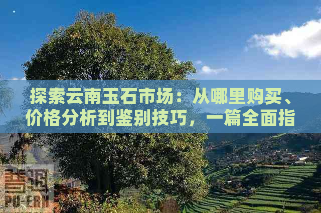 探索云南玉石市场：从哪里购买、价格分析到鉴别技巧，一篇全面指南！