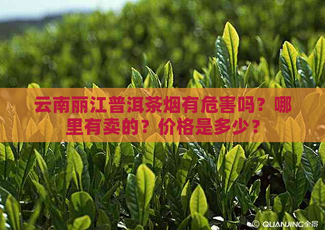 云南丽江普洱茶烟有危害吗？哪里有卖的？价格是多少？