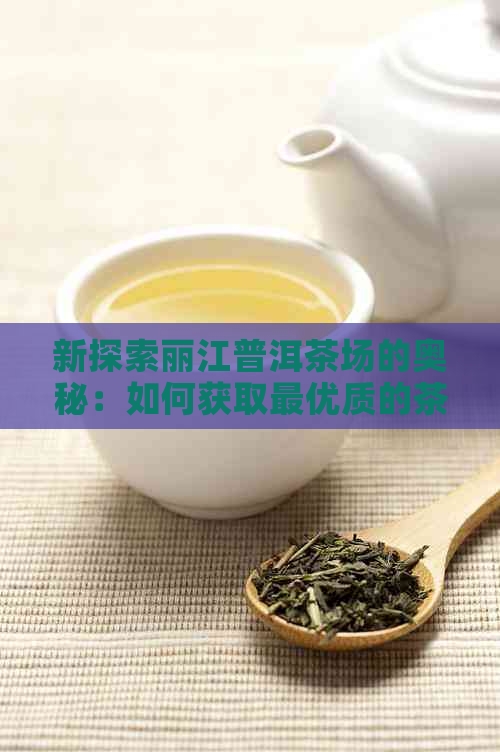 新探索丽江普洱茶场的奥秘：如何获取更优质的茶叶？