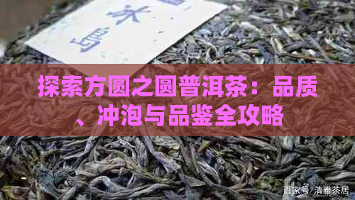 探索方圆之圆普洱茶：品质、冲泡与品鉴全攻略