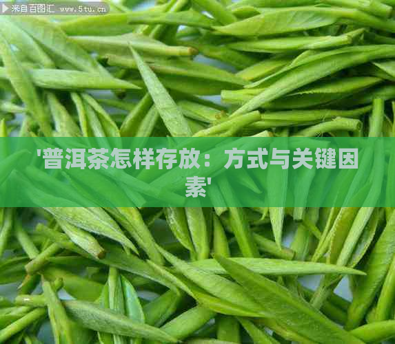 '普洱茶怎样存放：方式与关键因素'