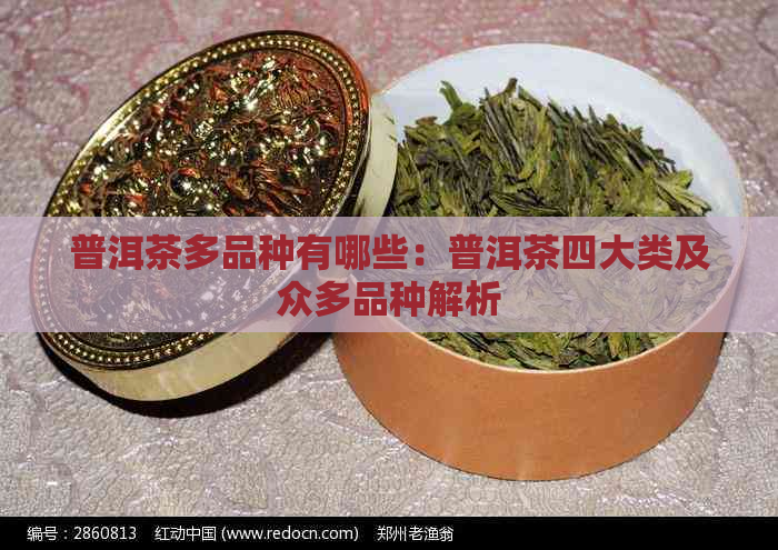 普洱茶多品种有哪些：普洱茶四大类及众多品种解析