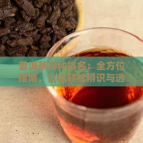 普洱茶品种排名：全方位指南，让你轻松辨识与选择