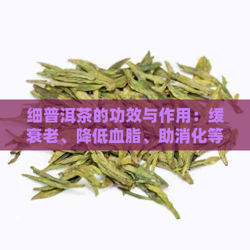 细普洱茶的功效与作用：缓衰老、降低血脂、助消化等