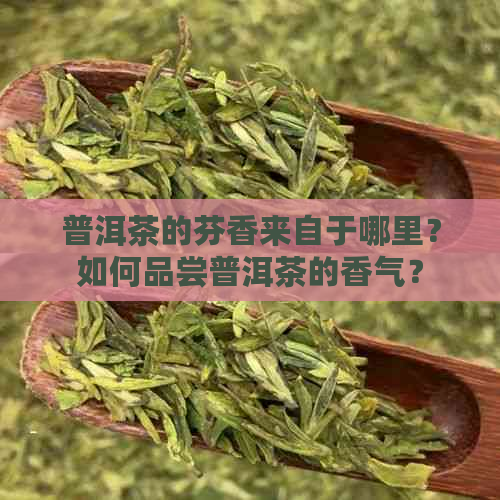 普洱茶的芬香来自于哪里？如何品尝普洱茶的香气？