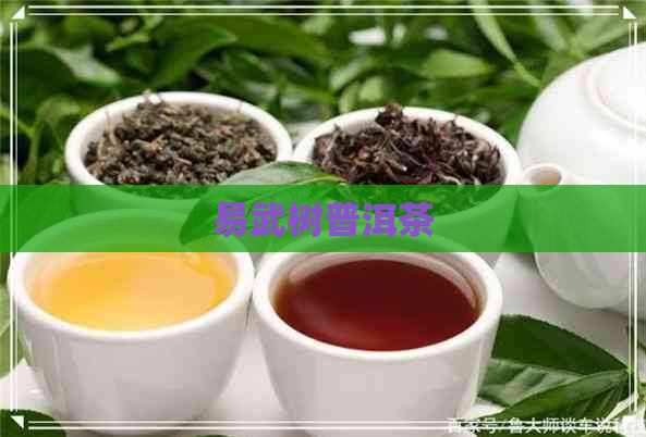 易武树普洱茶