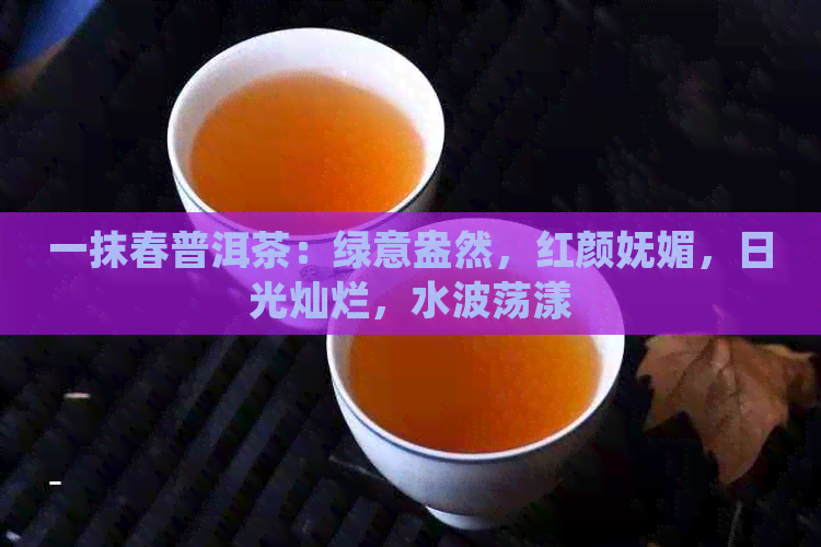 一抹春普洱茶：绿意盎然，红颜妩媚，日光灿烂，水波荡漾