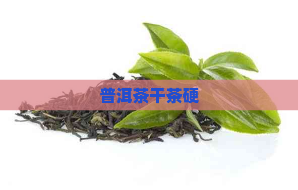 普洱茶干茶硬