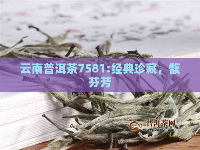 云南普洱茶7581:经典珍藏，馥芬芳