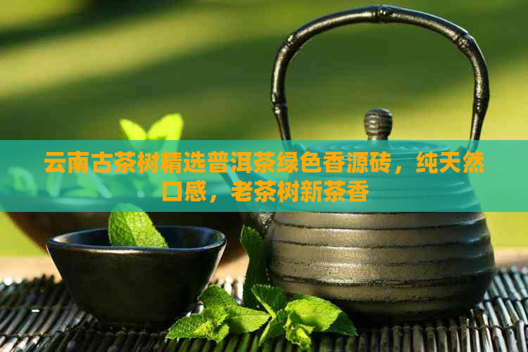 云南古茶树精选普洱茶绿色香源砖，纯天然口感，老茶树新茶香