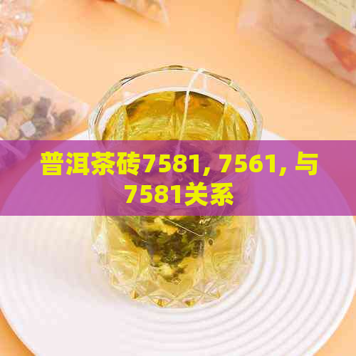 普洱茶砖7581, 7561, 与7581关系