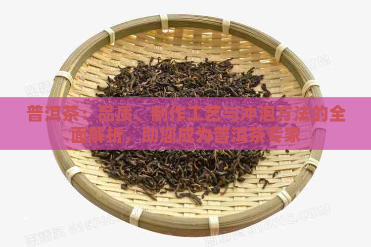 普洱茶：品质、制作工艺与冲泡方法的全面解析，助您成为普洱茶专家