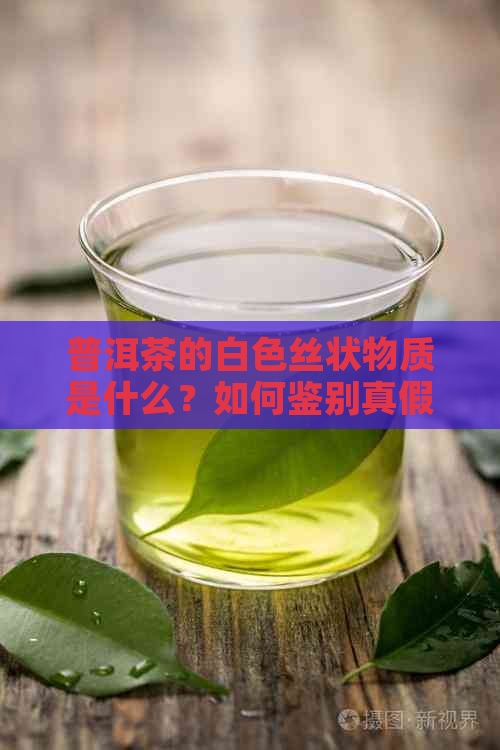 普洱茶的白色丝状物质是什么？如何鉴别真假？