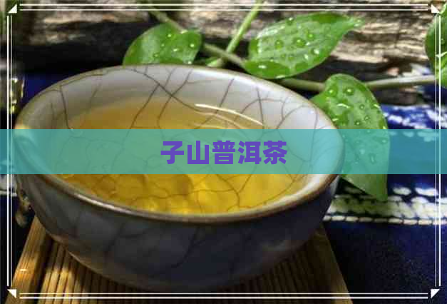 子山普洱茶